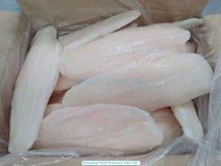 Frozen Pangasius Fillet Well Trimmed Packed in Cartons – Vietnam Export