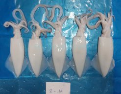 Vietnam Frozen Whole Clean Loligo Squid Tube and Tentacles Before IQF Freezing – 2