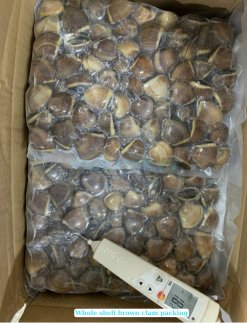 Frozen Cooked Whole Shell Brown Clam carton packing in Vietnam