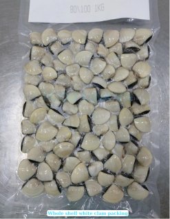 Frozen Cooked Whole Shell White Clam vacuum packing in Vietnam factory