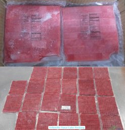 Vietnam Frozen Yellowfin Tuna Cube Packed in Export Bag