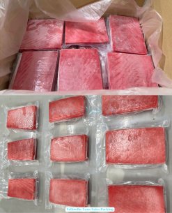 Vietnam Frozen Yellowfin Tuna Saku Vacuum Packed for Export