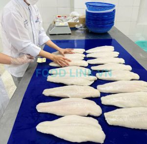 Pangasius fillets after IQF freezing under QC inspection
