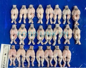 Classic style frog legs after IQF processing