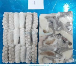 Vietnam Frozen Cut Poulp Squid Block (Mada Cut) IQF Size L
