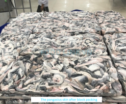 Vietnam Frozen Pangasius Skin After IQF Freezing – Sample 2