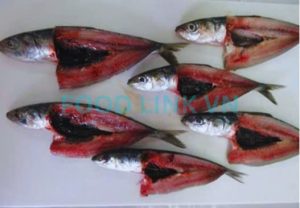 Post-IQF fish quality inspection in Vietnam seafood processing