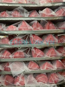 Yellowfin tuna portions packed and sealed