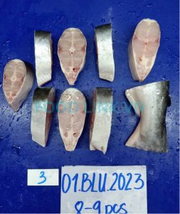 Pangasius steak pre-IQF processing quality check