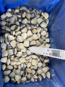 Bulk packed bivalves in export cartons