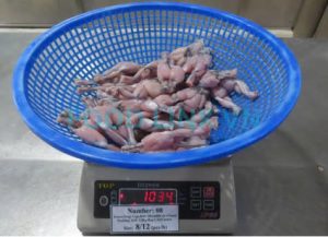 Weight checking frog legs before bag packing