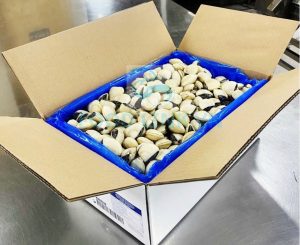 Export cartons ready for seafood shipment from Vietnam