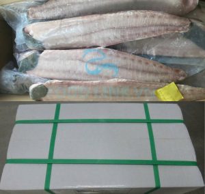 Packed marine fish products ready for loading in Vietnam