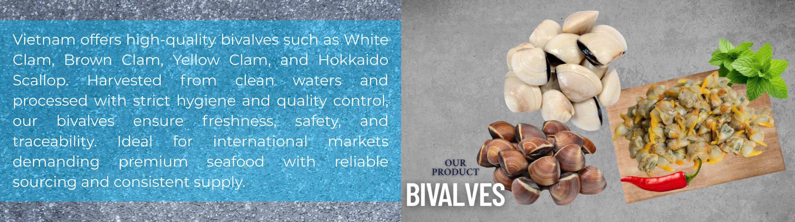 Bivalve products panel – White clam, brown clam, yellow clam, and Hokkaido scallop from Vietnam