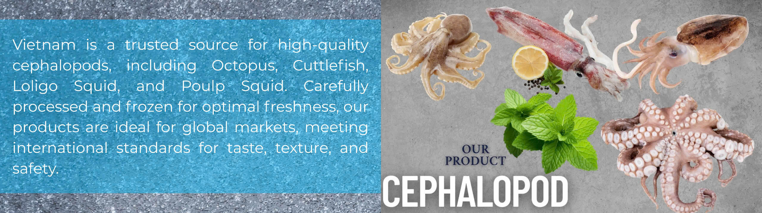 Cephalopod products panel – Octopus, cuttlefish, loligo squid, and poulp squid from Vietnam