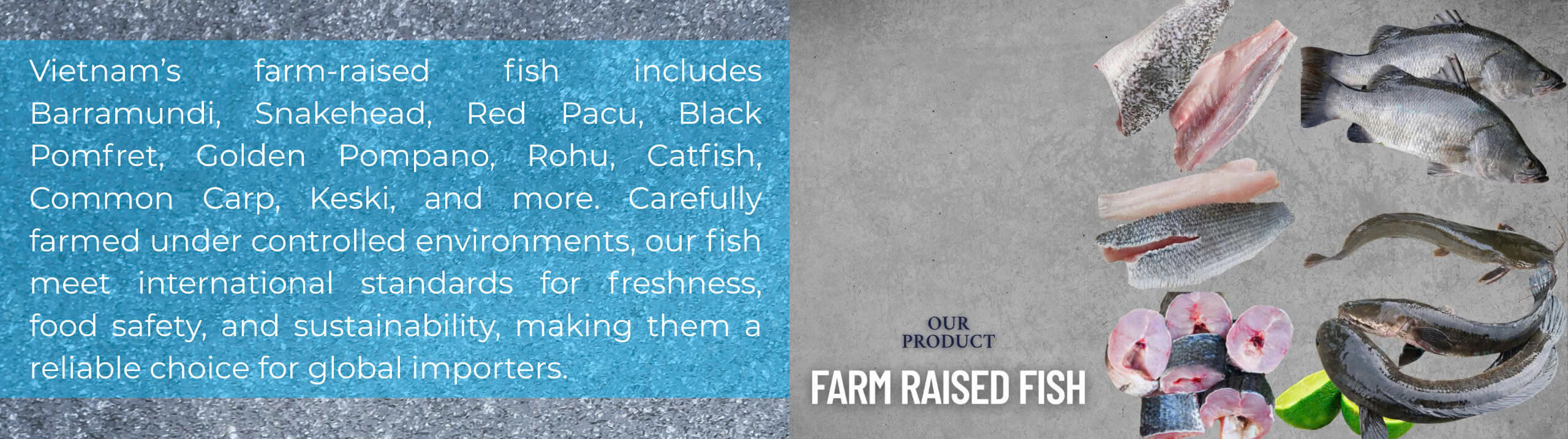 Farm-raised fish products panel – Barramundi, snakehead, red pacu, black pomfret, pompano, and keski from Vietnam