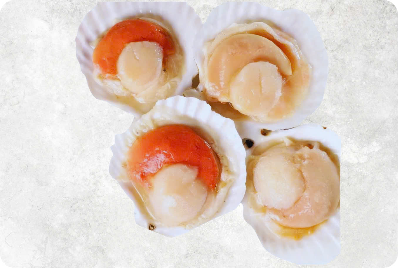 Premium frozen Hokkaido scallop meat from Vietnam for international seafood trade