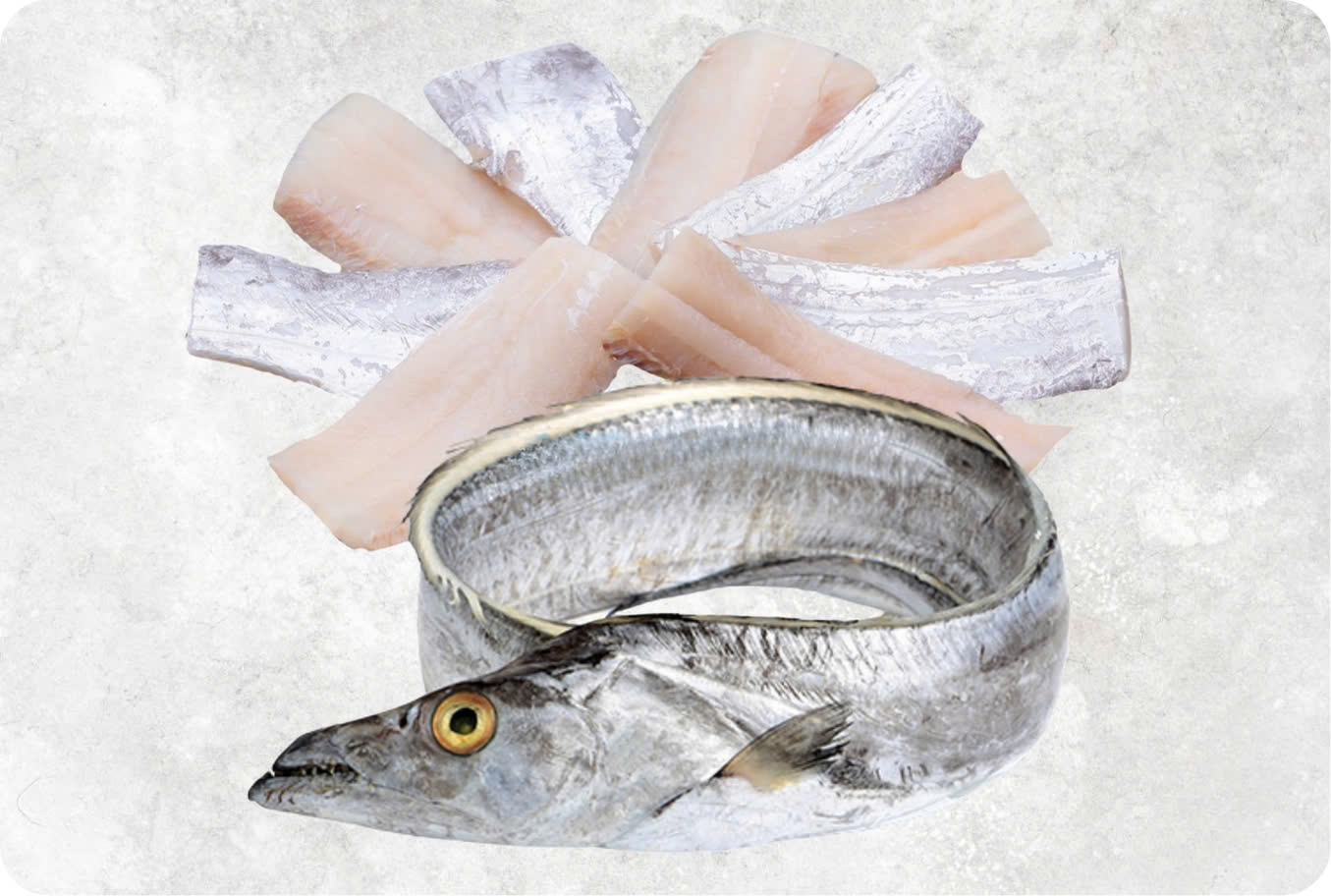 Frozen ribbon fish with silver skin from Vietnam for export quality inspection