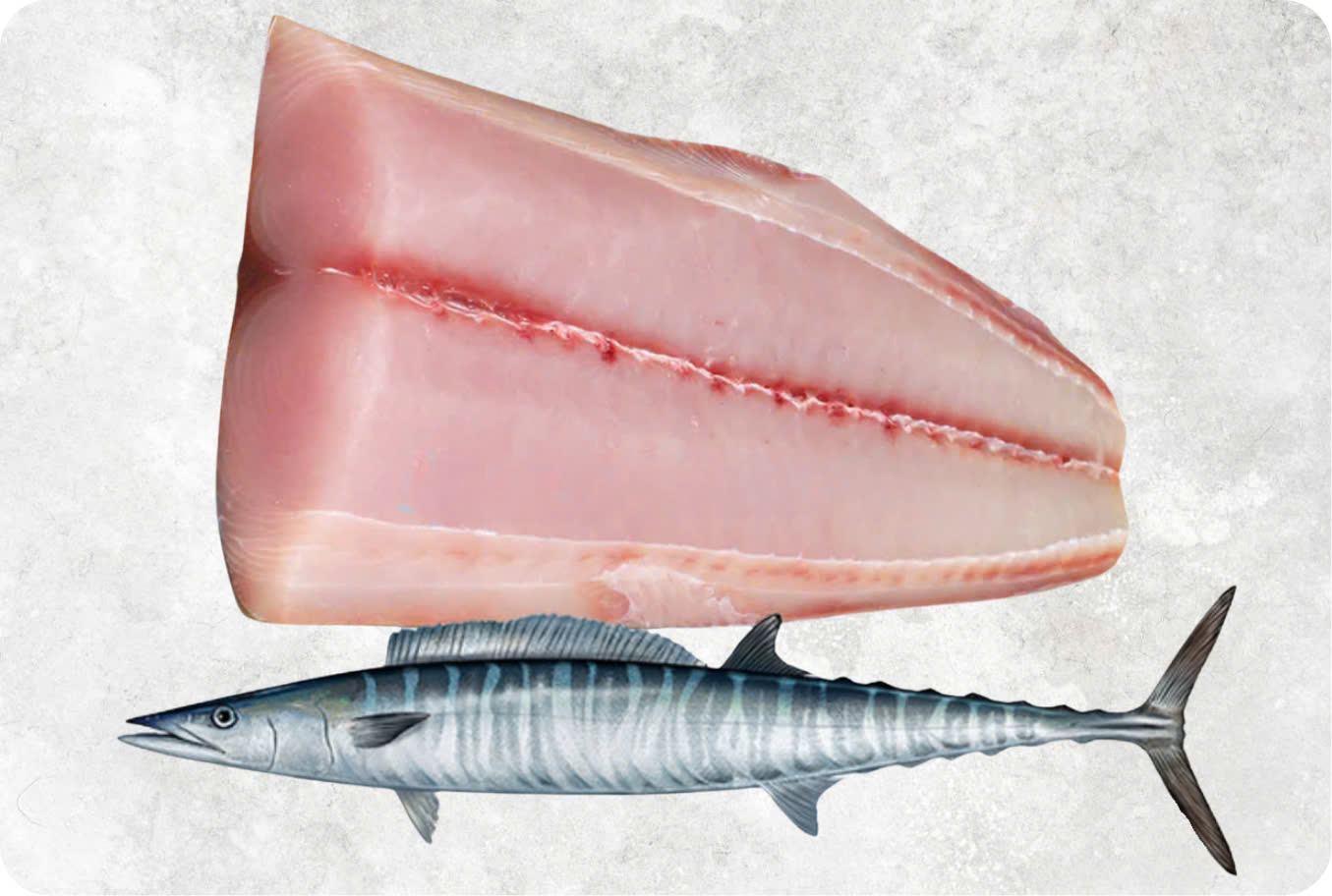 Frozen wahoo fish fillet with clean cuts and firm white meat from Vietnam