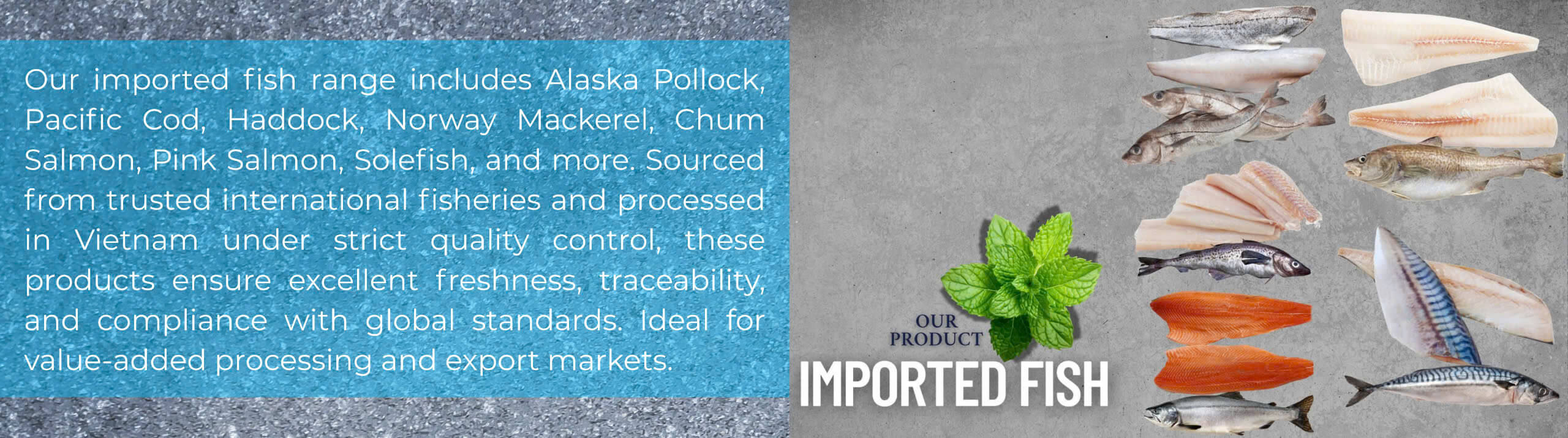 Imported fish production in Vietnam panel – Alaska pollock, cod, haddock, mackerel, salmon, and solefish from trusted sources