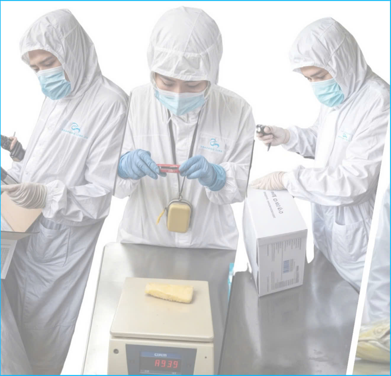 Professional QC Services for Seafood Products in Vietnam