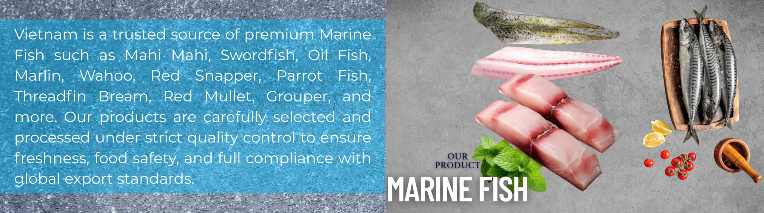 Marine fish products panel – Mahi mahi, wahoo, snapper, parrot fish, mullet, and grouper from Vietnam