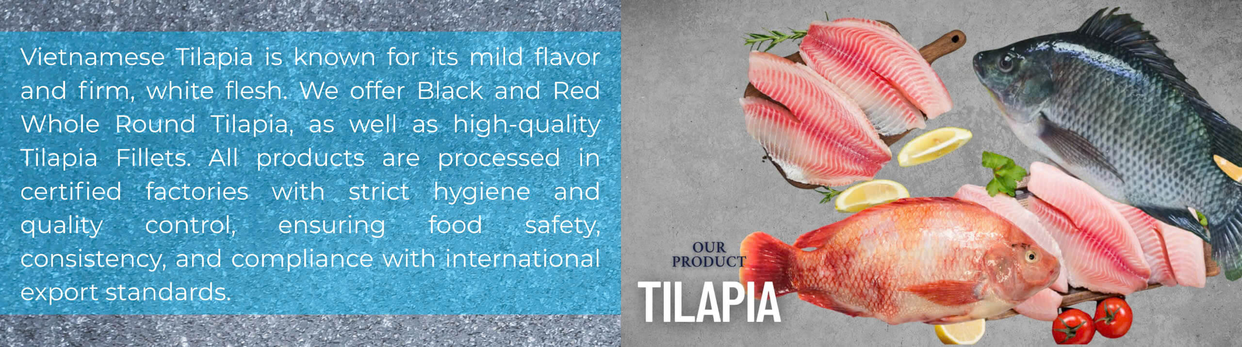 Tilapia products panel – Black and red tilapia, whole and fillet, from Vietnam