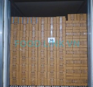 Finished carton packing inside container under quality supervision in Vietnam