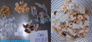 Seafood mix inspection before and after IQF freezing in Vietnam