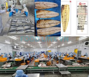 Fillet fish processing in Vietnam with quality control