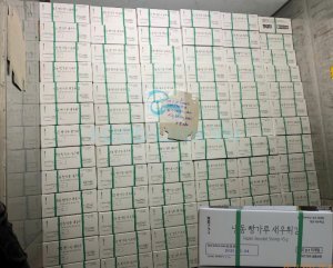 Loading frozen breaded shrimp into export container in Vietnam