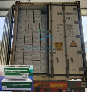 Completed loading of farm raised fish export container
