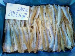 Dried Seasoned Alaska Pollock packed in cartons after drying in Vietnam