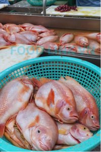 Filleting fish under quality inspection and QC monitoring in Vietnam
