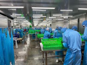 Workers processing OEM seafood products in Vietnam
