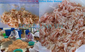 Salted baby shrimp production process inspection in Vietnam