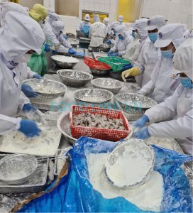 Workers processing breaded shrimp under quality control supervision