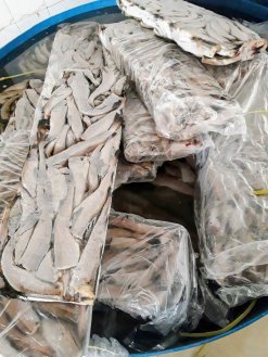 Dried Seasoned Alaska Pollock raw material in Vietnam
