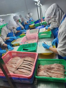 Filleting fish for OEM seafood production in Vietnam