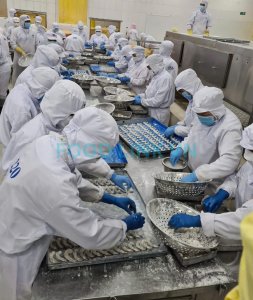 Pre-coating preparation in breaded shrimp production in Vietnam