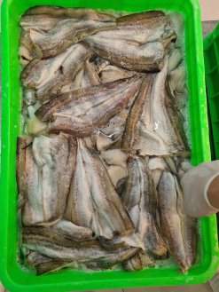Dried Seasoned Alaska Pollock being marinated with spices in Vietnam