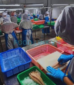 During production quality inspection of fish fillet products