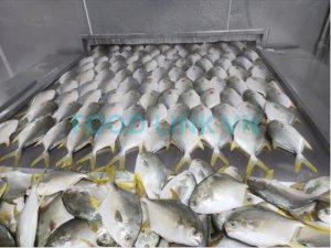 Pompano IQF processing with quality control service in Vietnam