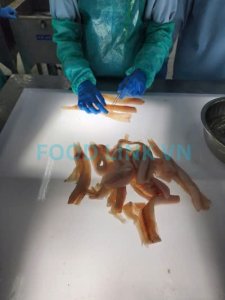 Bone inspection in fish fillets during OEM seafood processing