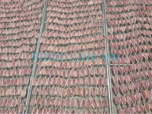 Dried seafood processing inspection and quality control