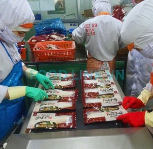 Fish fillet quality inspection before shipment in Vietnam