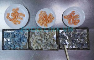 Shrimp color comparison before and after cooking in QC process
