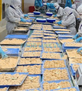 Shrimp coating process under QC inspection in Vietnam