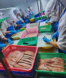 Worker filleting OEM fish with quality control monitoring