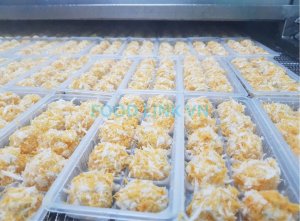 Breaded shrimp on IQF conveyor in seafood processing facility
